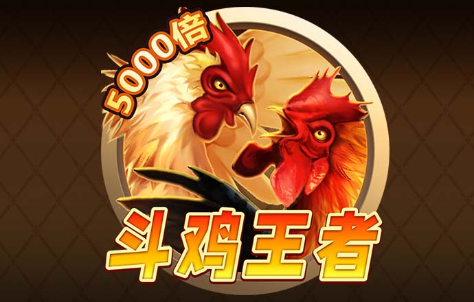 b—sports入口